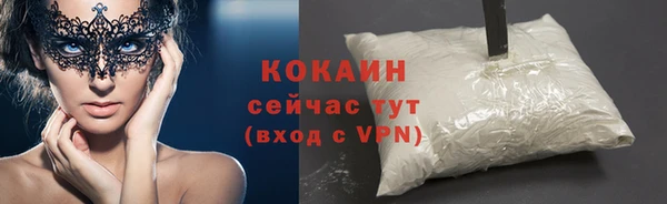 кокс Арсеньев