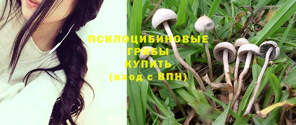 кокс Арсеньев