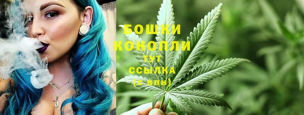 кокс Арсеньев