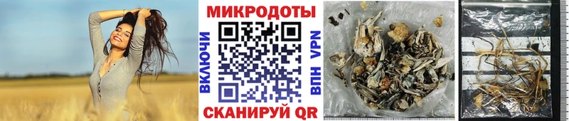 OMG вход  Соликамск  Галлюциногенные грибы GOLDEN TEACHER  как найти наркотики 