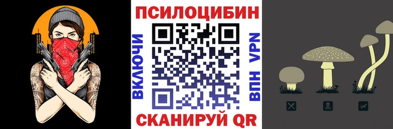 Псилоцибиновые грибы Psilocybine cubensis Соликамск
